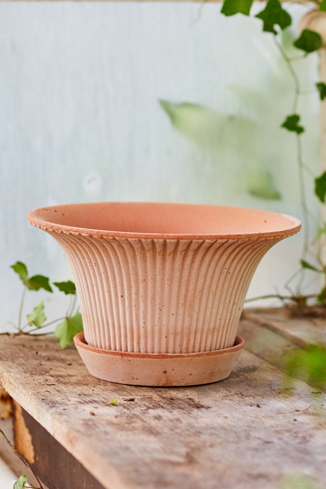 Bergs Daisy Terracotta Pot + Saucer Set #10