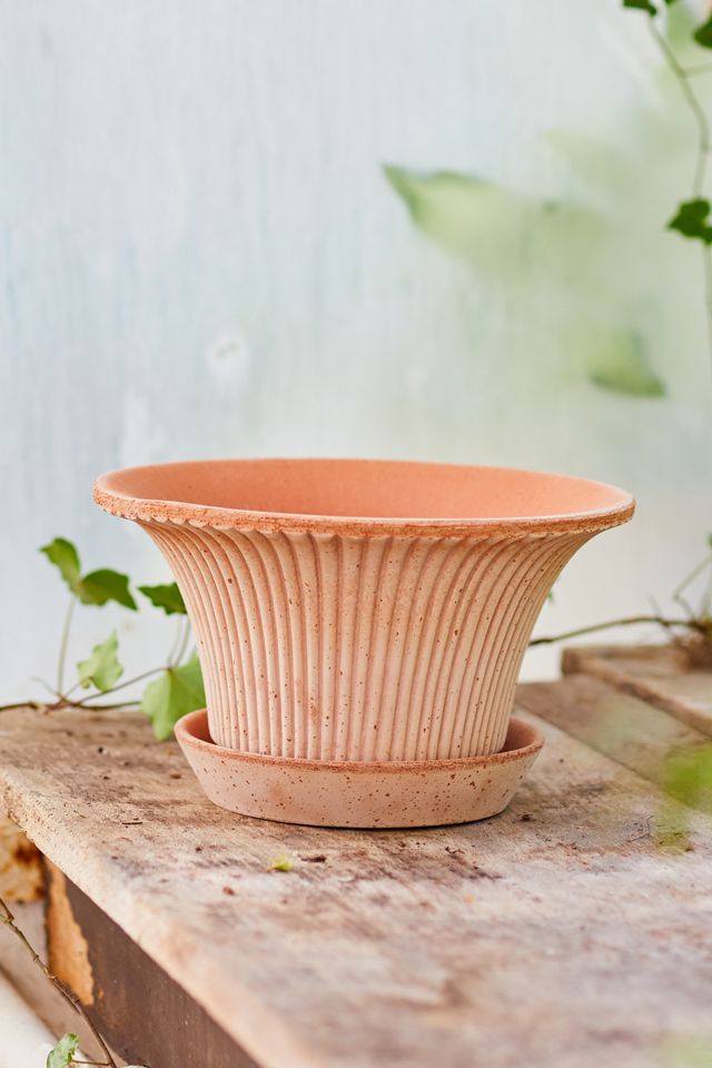 Bergs Daisy Terracotta Pot + Saucer Set #6