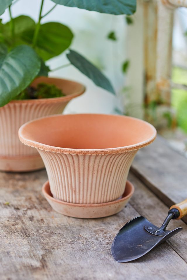 Bergs Daisy Terracotta Pot + Saucer Set #7