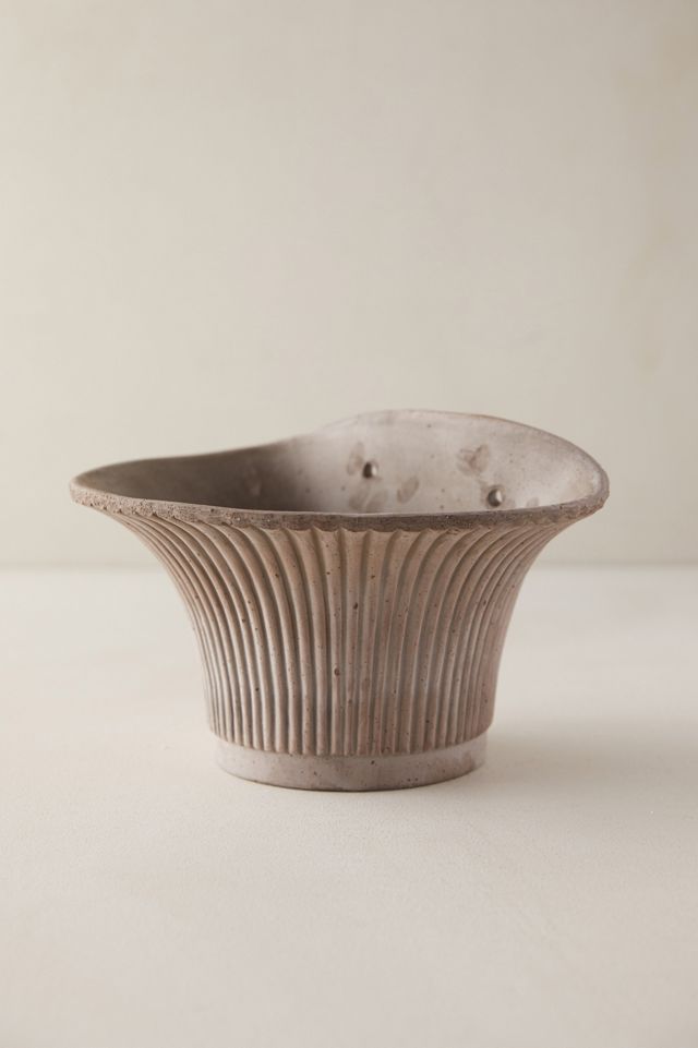 Bergs Daisy Hanging Wall Terracotta Pot #2