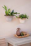 Bergs Fluted Hanging Wall Pot