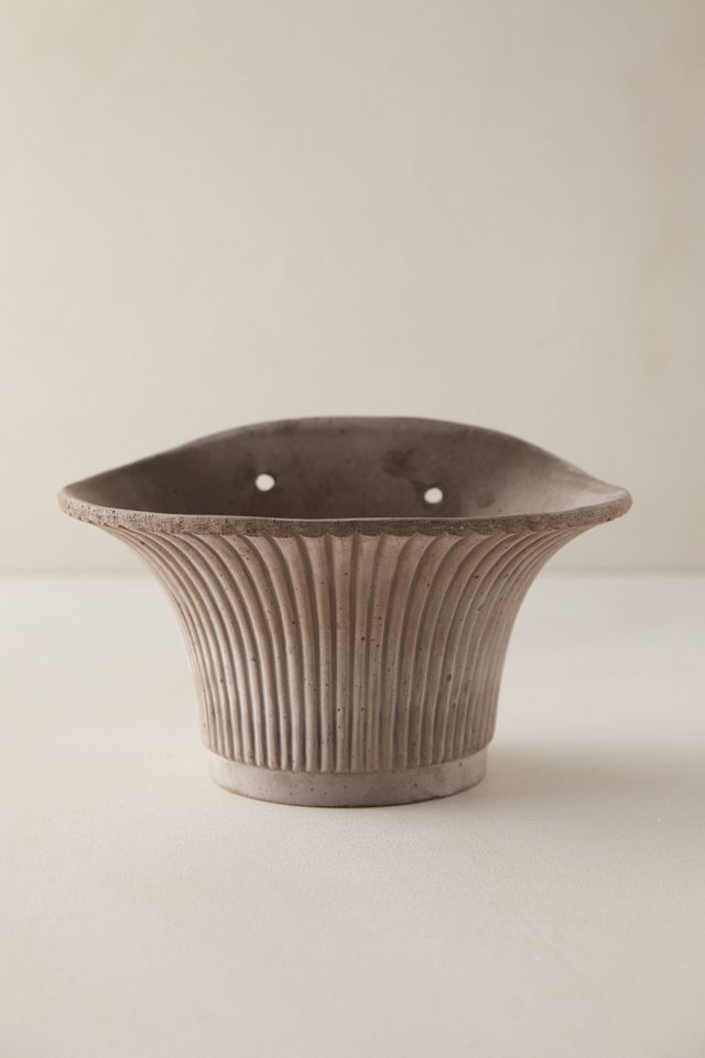 Bergs Daisy Hanging Wall Terracotta Pot #1