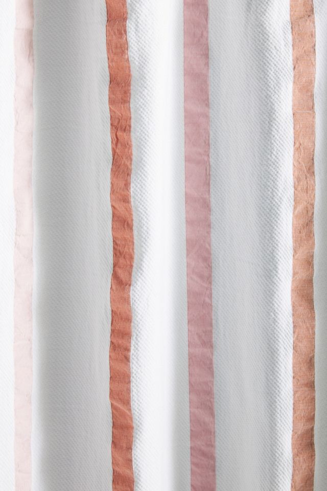 Illiana Shower Curtain #2