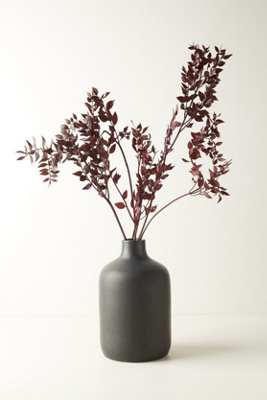 Terrain Preserved Ruscus Bunch In Gray