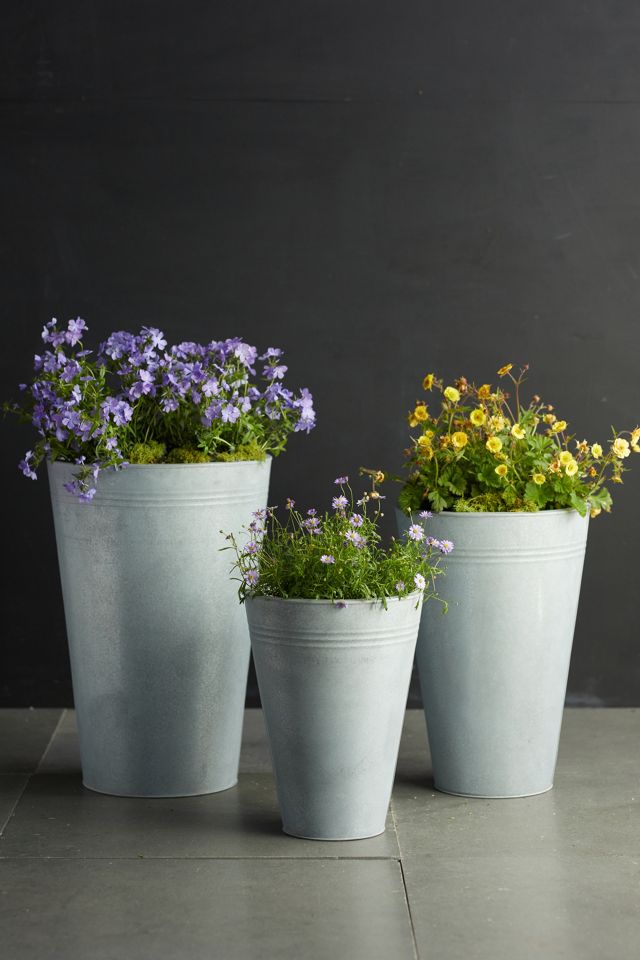 Zinc Flower Bucket, 13 Anthropologie