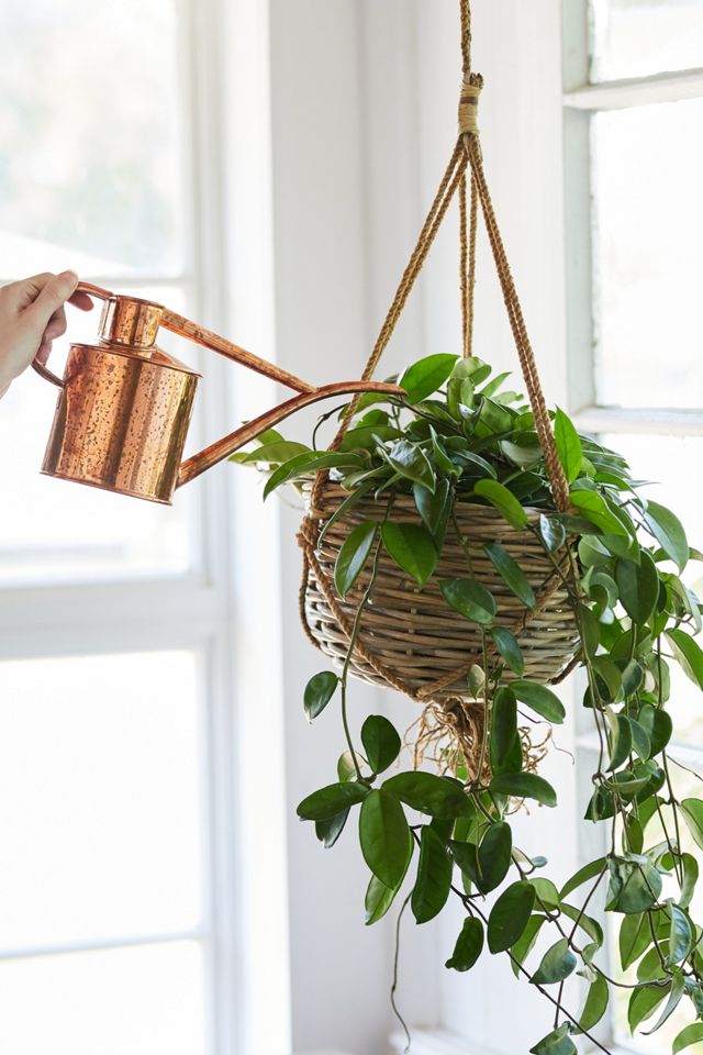 Rattan Hanging Basket Pot, 10 #4