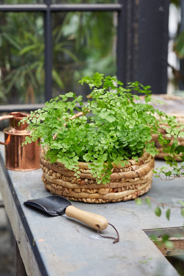 Woven Basket Pot, Natural 15 #1