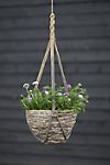 Woven Hanging Basket Pot, Gray 10" #1