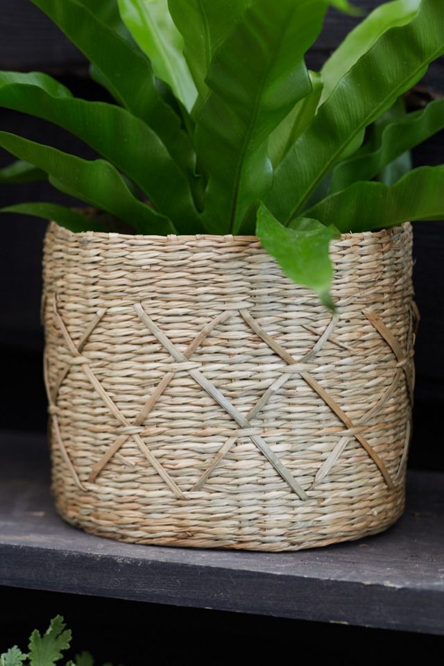 Geo Seagrass Basket Pot, 6 #1