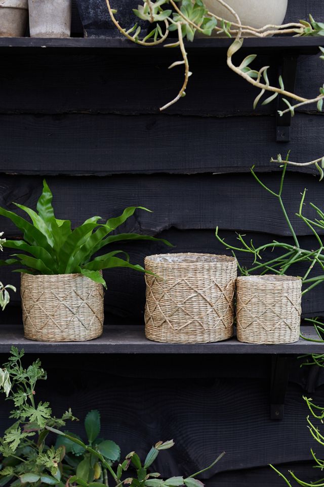Geo Seagrass Basket Pot, 6 #2