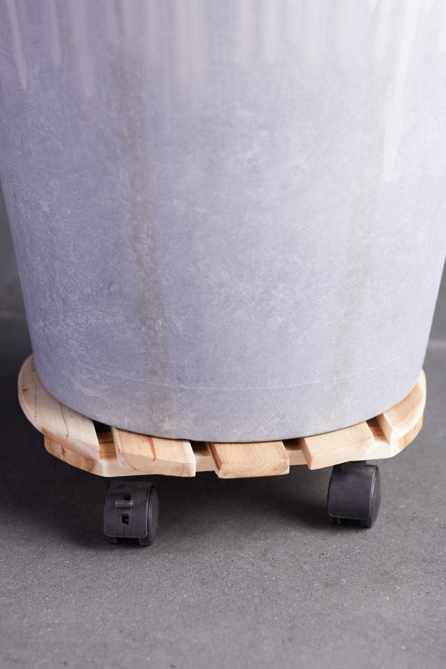Wood Plant Dolly #1