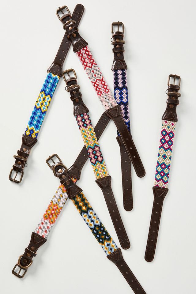 Fenix Dog Collar #1
