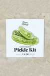 Farm Steady Lacto Pickle Kit