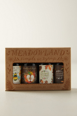Terrain Autumn Simple Syrups, Set Of 4