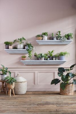 Galvanized Iron Shelf