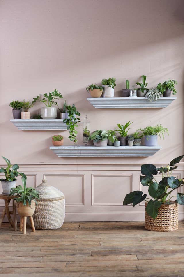 Galvanized Iron Shelf