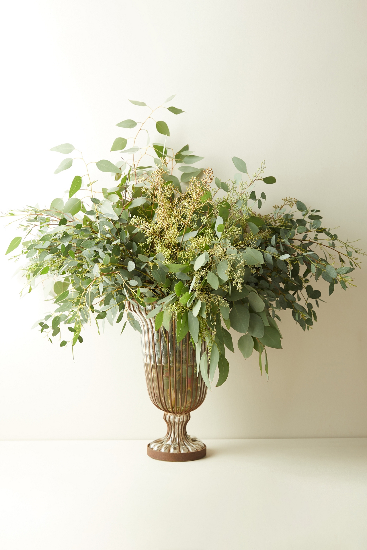 Fresh Assorted Eucalyptus Bunch