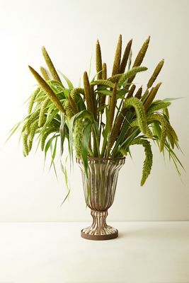 Pumpkin & Fall Décor | Anthropologie