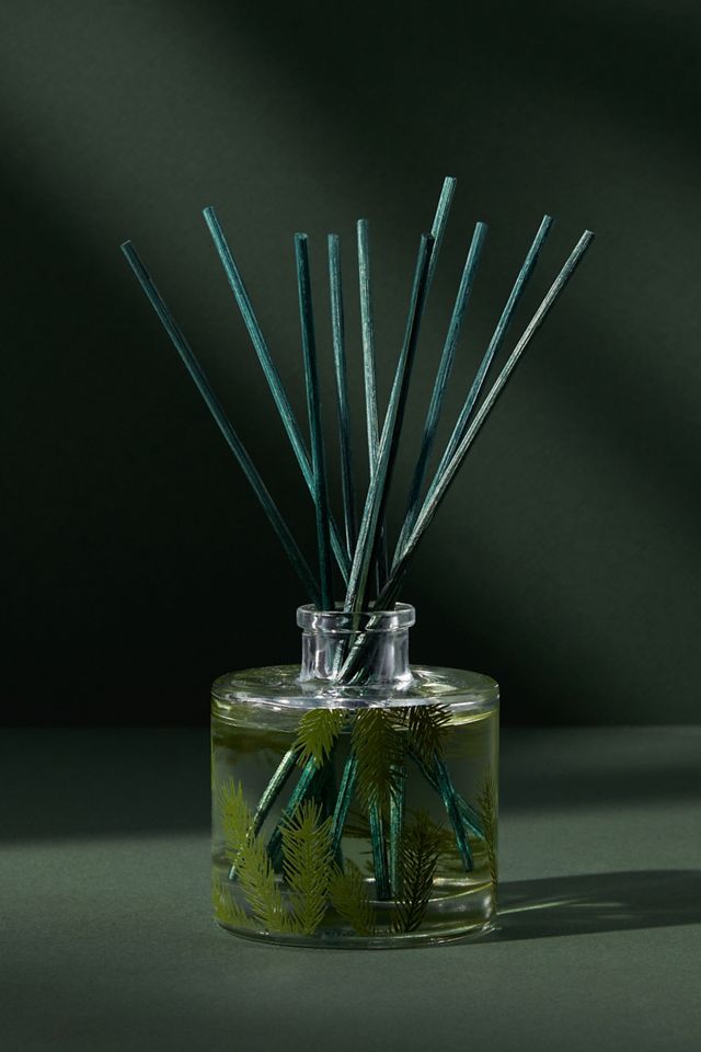 Frasier Fir Reed Diffuser – Cloud's Candle Co.