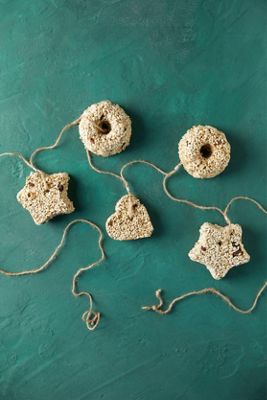 Holiday Bird Seed Garland