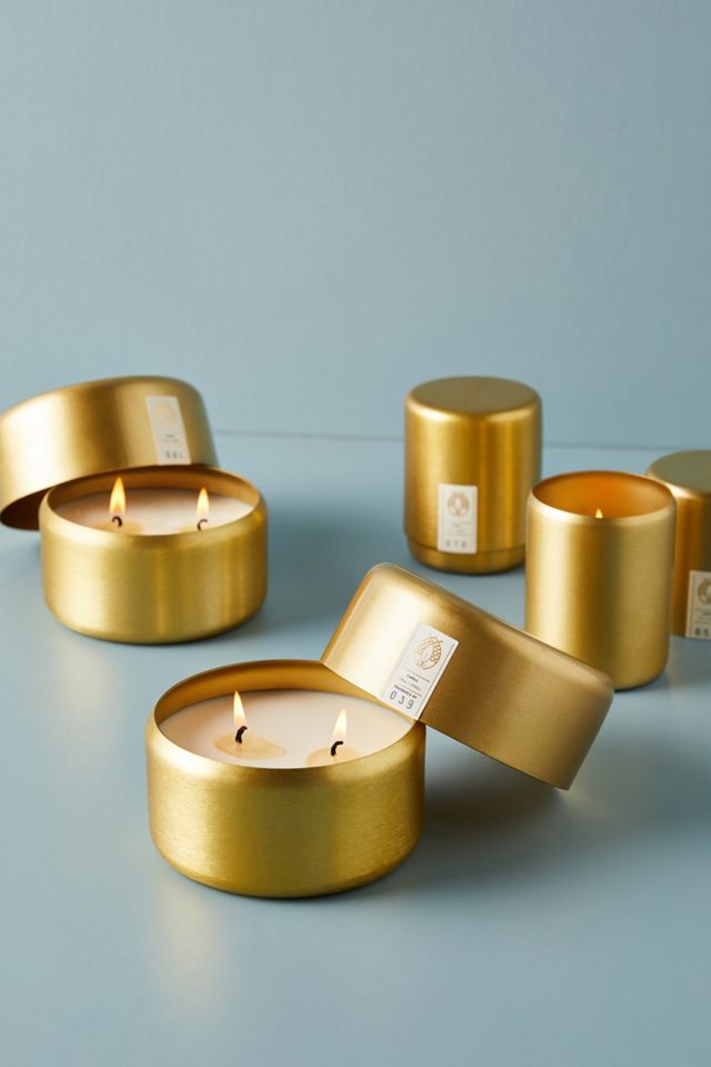 Candlefish Molded Metal Two-Wick Candle #2