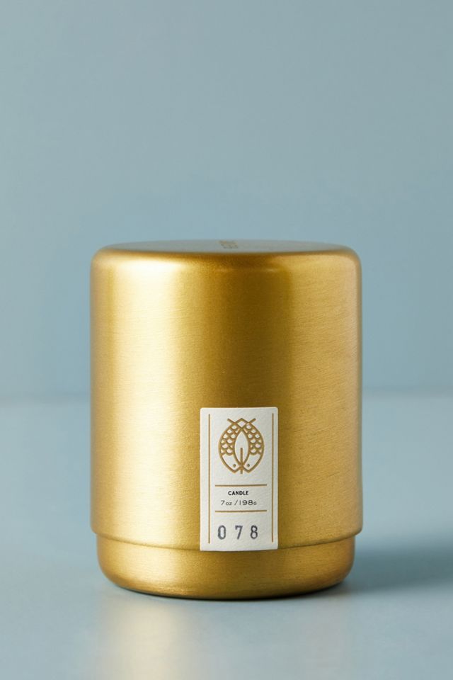 Candlefish Molded Metal Two-Wick Candle #1