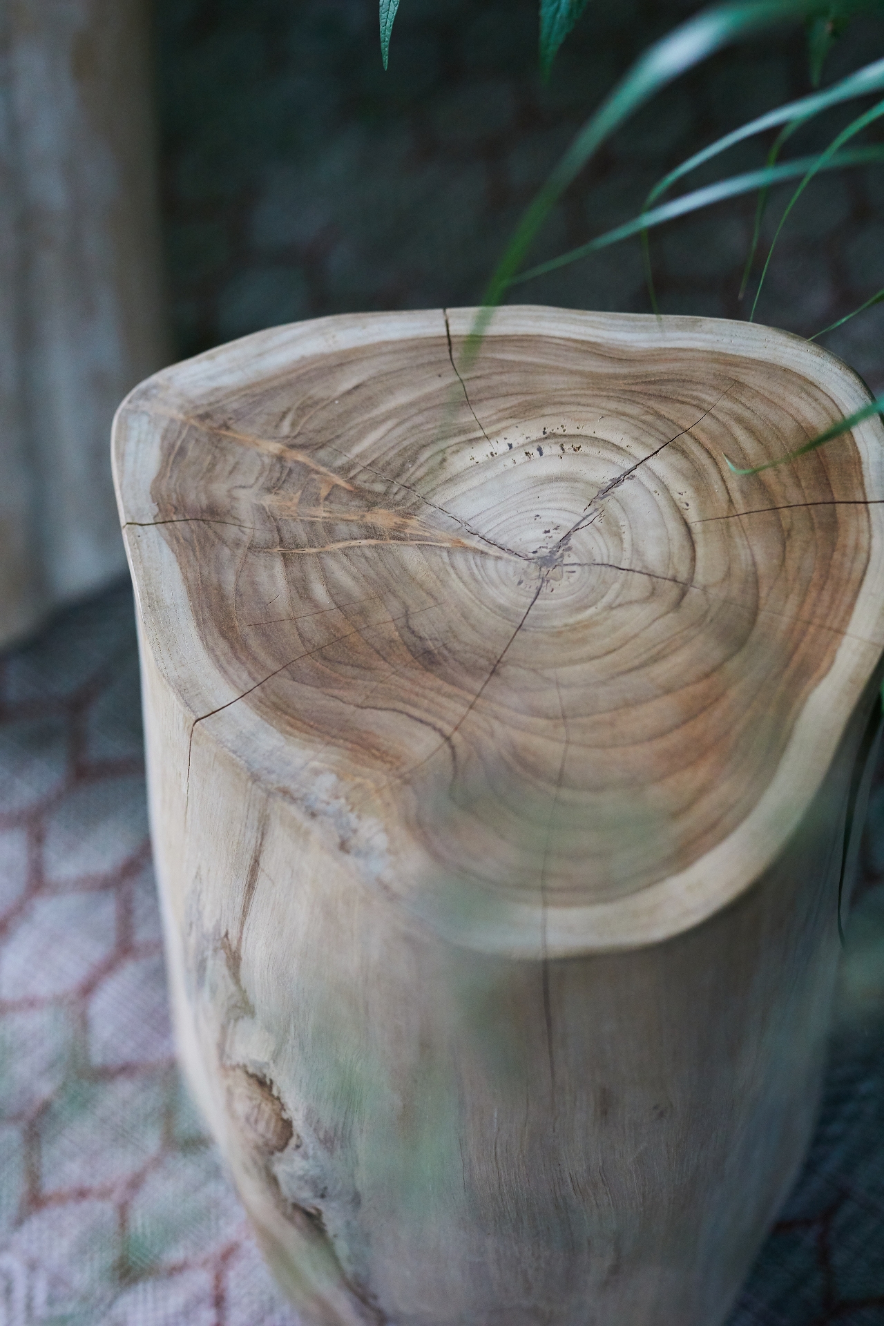 Teak Root Stool