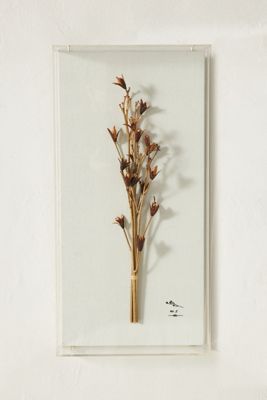 Dried Botanical Wall Art
