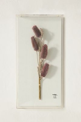 Dried Botanical Wall Art