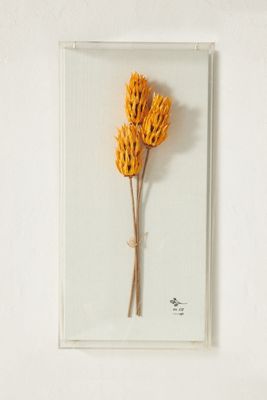 Dried Botanical Wall Art
