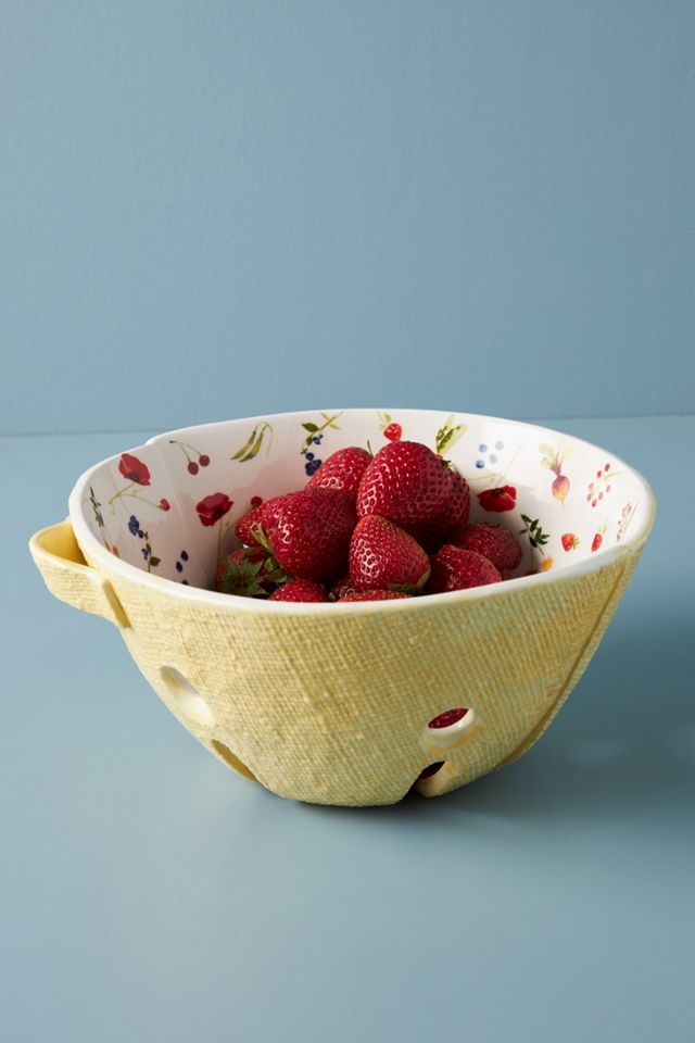Appoline Colander