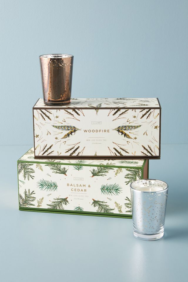 Illume Votive Gift Set of 3, Balsam + Cedar #2