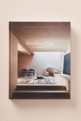 Resident Dog