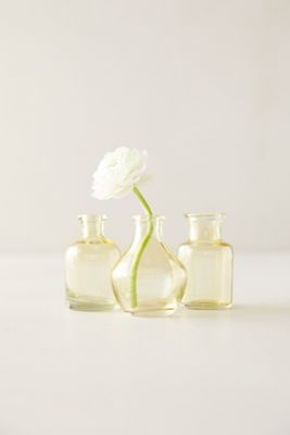 Bottle Bud Vases, Set of 3