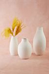 Floral Matte White Vase