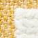 Maize