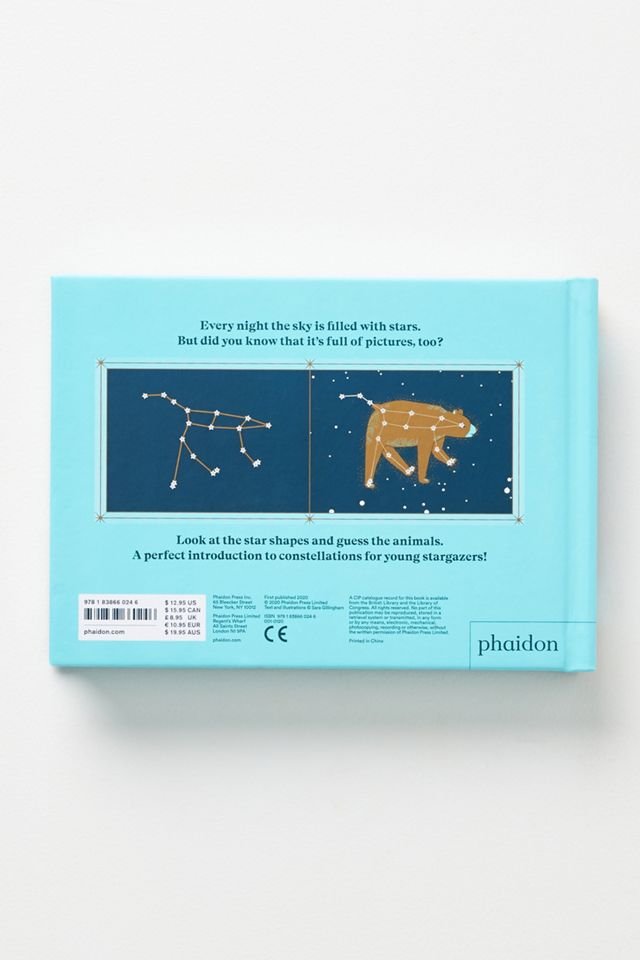 Animals In The Sky #4