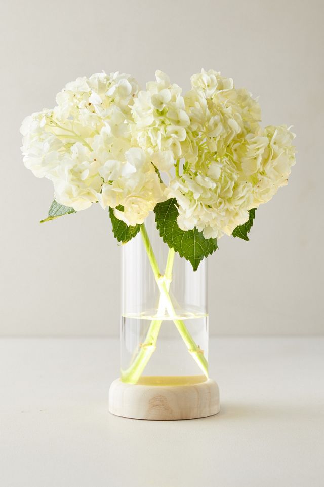 LED Vase on Wood Stand #1