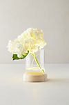 LED Vase on Wood Stand #3