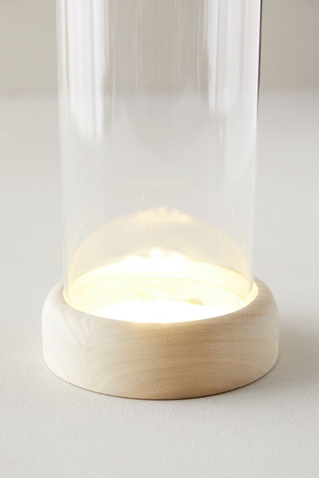 LED Vase on Wood Stand #5