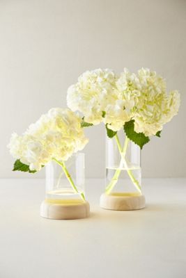 LED Vase on Wood Stand