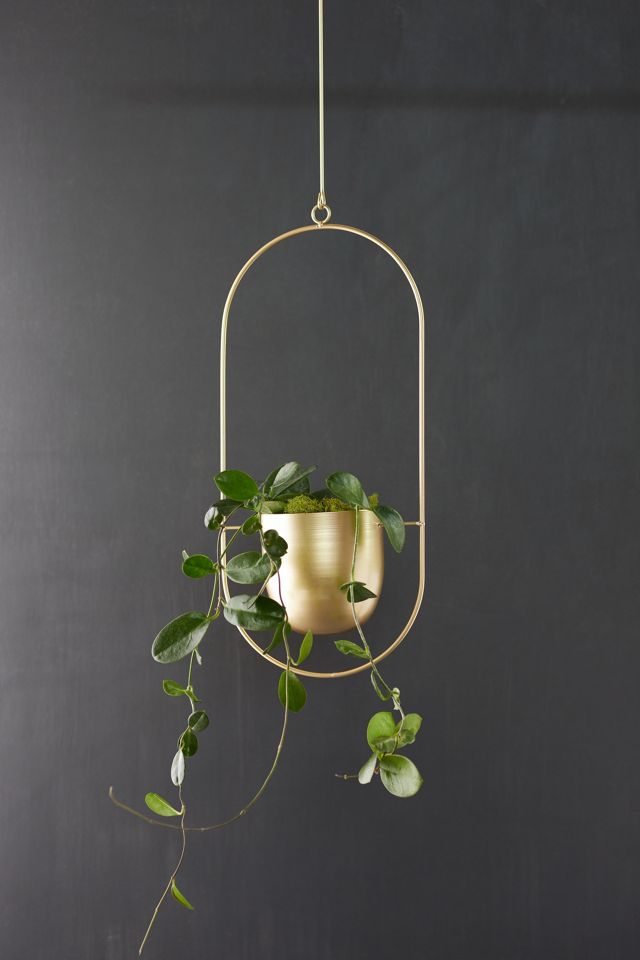 Modern Hanging Iron Planter | Terrain