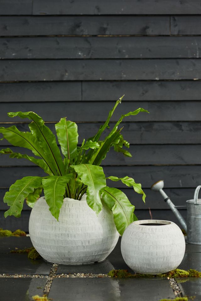 Neutral Textured Orb Pot, 14