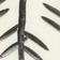BLACK MOTIF