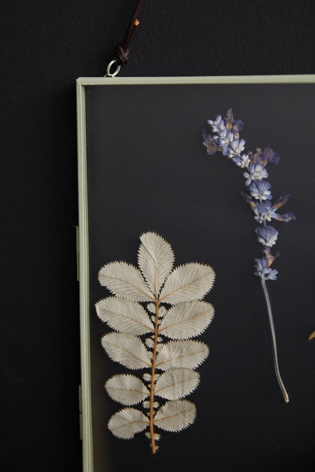 Pressed Flowers Hanging Frame #3