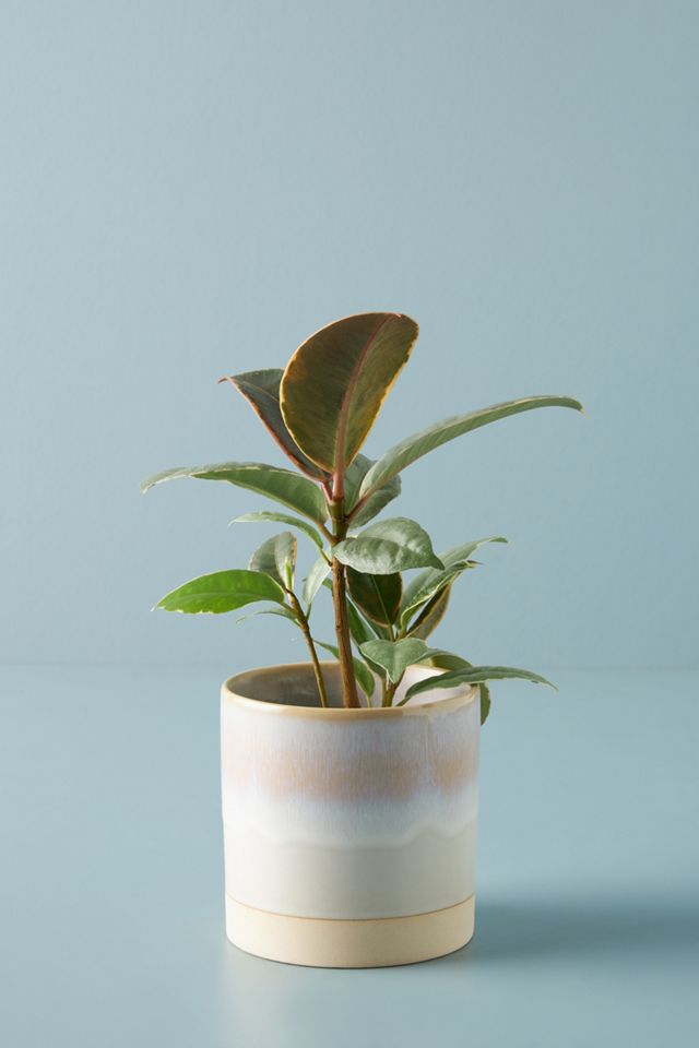 Rhea Reactive Glaze Pot #3