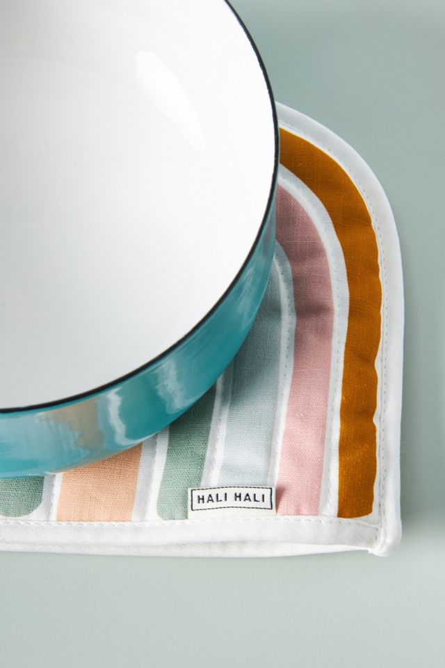 Rainbow Pot Holder #2