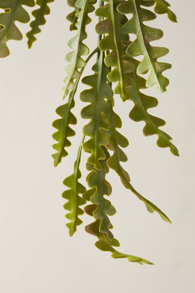 Faux Hanging Plant #2