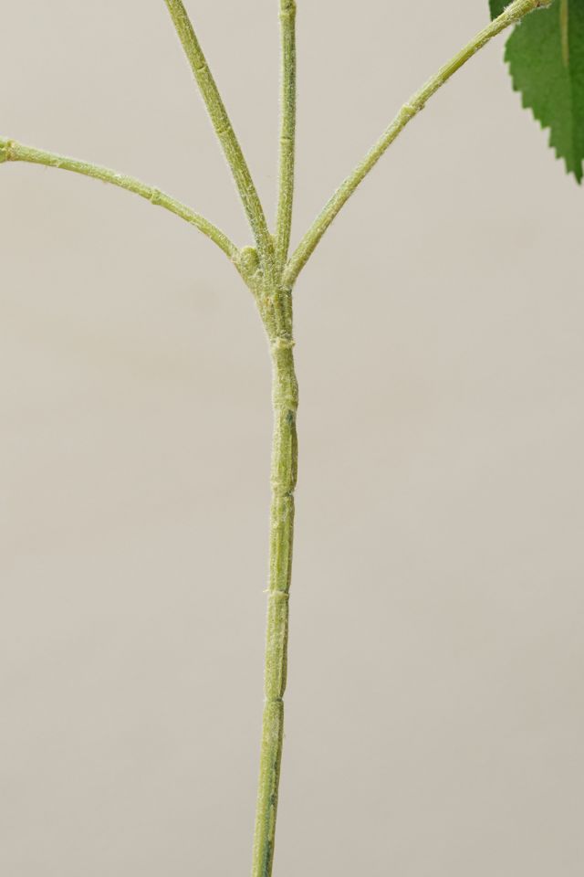 Faux Anemone Stem, Blue #3