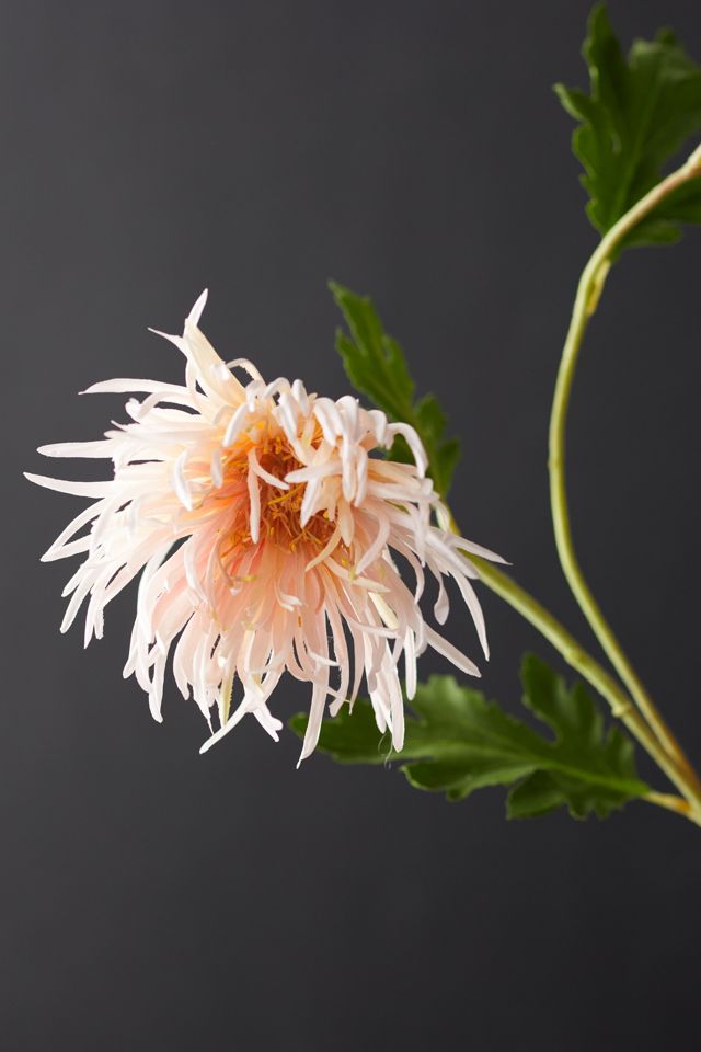 Faux Blush Chrysanthemum Stem #1